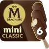 Magnum mini ijs 6 stuks
Xtra voordelig